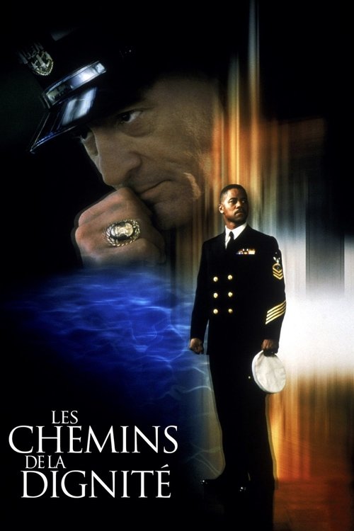 Affiche du film Les Chemins de la dignité
