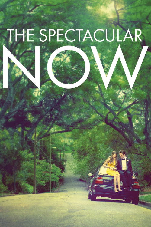 Affiche du film The Spectacular Now