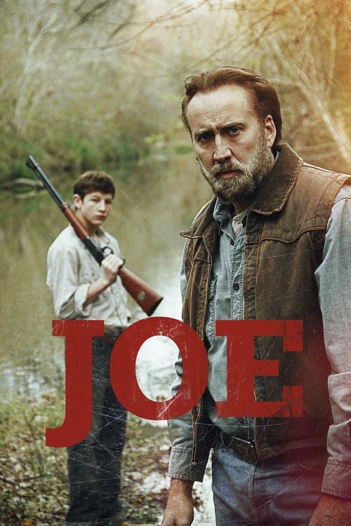 Affiche du film Joe