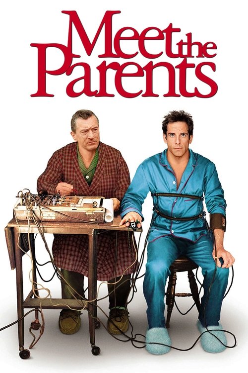 Affiche du film Mon beau-père et moi