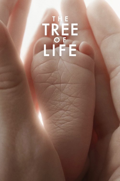 Affiche du film The Tree of Life