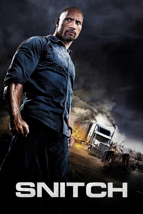 Affiche du film Infiltré