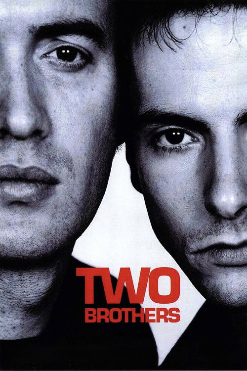 Affiche du film Deux frères