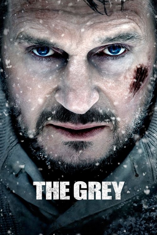 Affiche du film Le Territoire des Loups