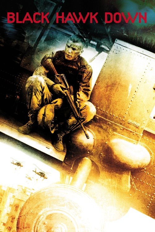 Affiche du film La Chute du faucon noir