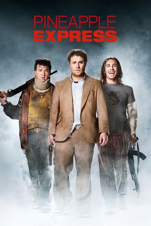 Affiche du film Délire Express