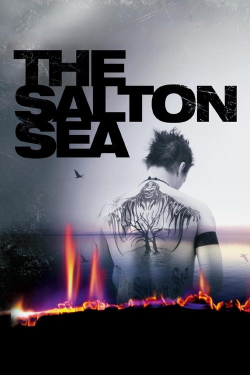 Affiche du film Salton Sea