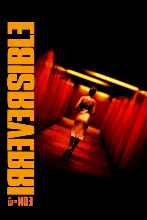 Affiche du film Irréversible