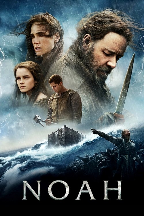 Affiche du film Noé