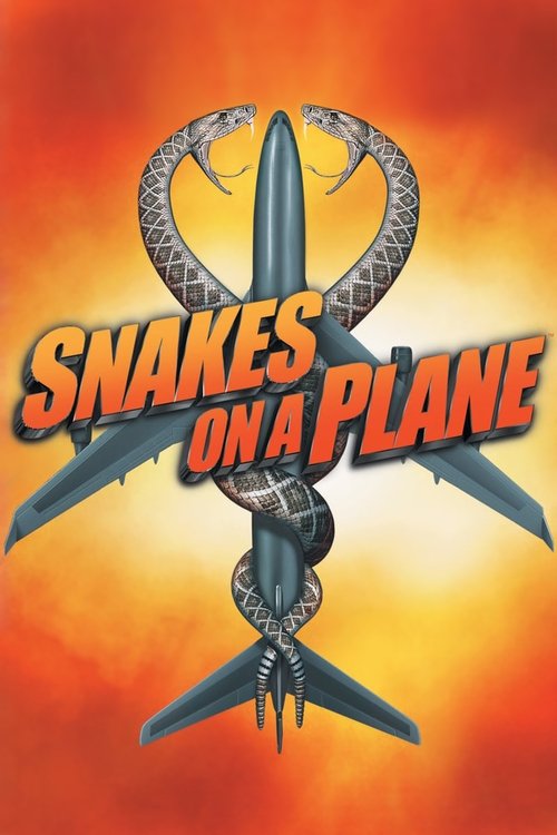 Affiche du film Des serpents dans l'avion