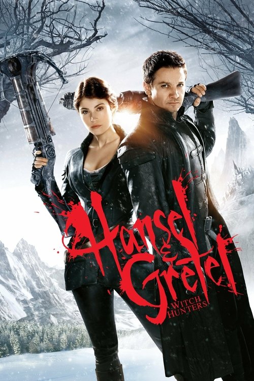 Affiche de Hansel & Gretel : Witch Hunters