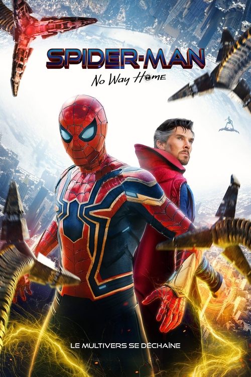 Affiche du film Spider-Man