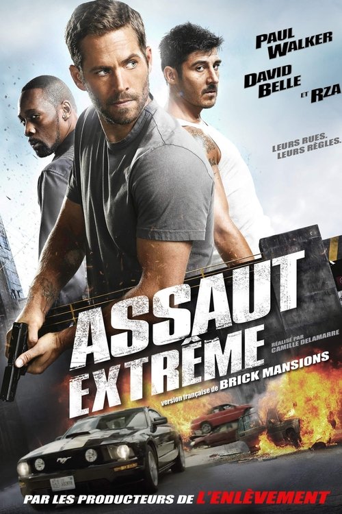 Affiche du film Brick Mansions