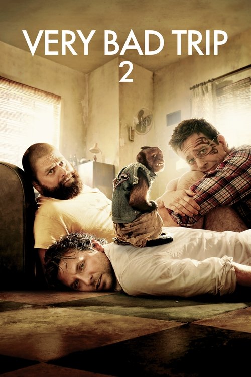 Affiche du film Very Bad Trip 2
