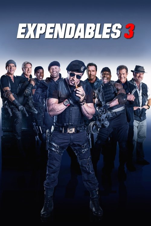 Affiche du film Expendables 3