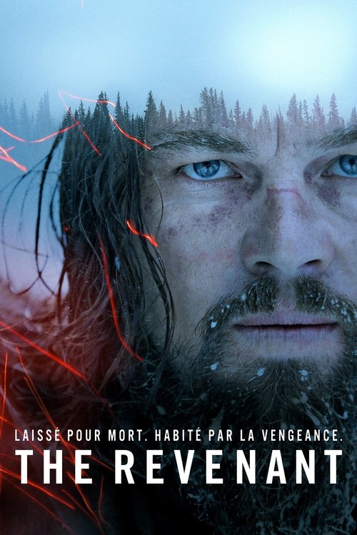 Affiche du film The Revenant