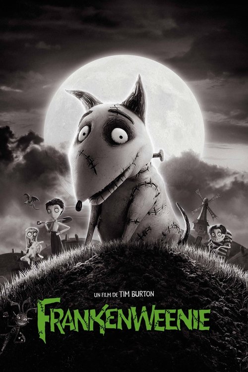 Affiche du film Frankenweenie